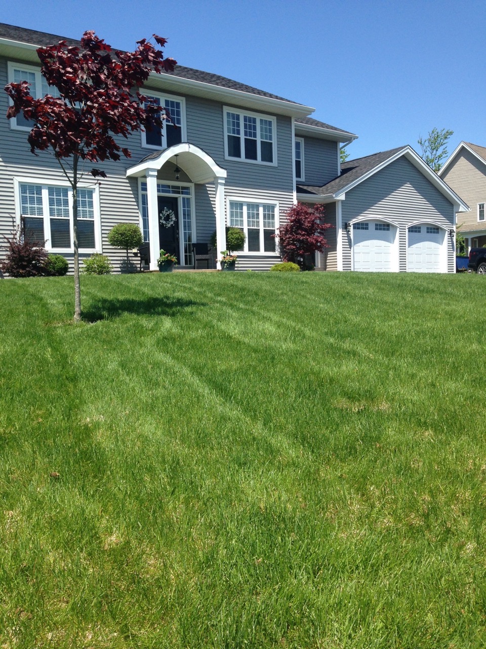 Lawn Care Services Saint John New BrunswickPhoto 2016-05-31, 12 52 32 PM Large